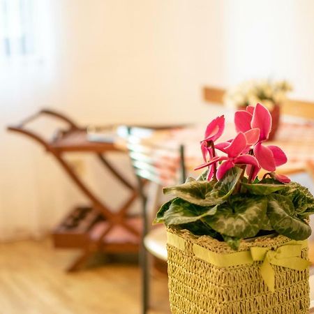 Apartments Mirjana Pula Zewnętrze zdjęcie