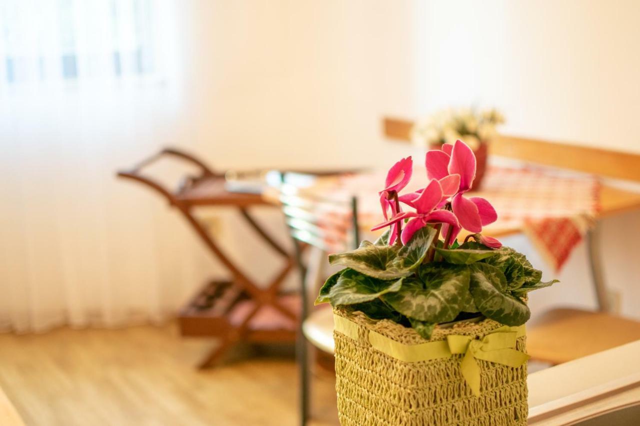 Apartments Mirjana Pula Zewnętrze zdjęcie
