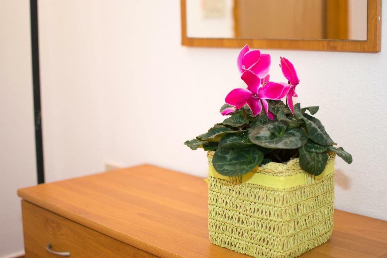 Apartments Mirjana Pula Zewnętrze zdjęcie